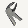 22 Lower Molars Forceps