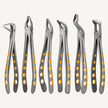 eXcel ™ Forceps Set Gold