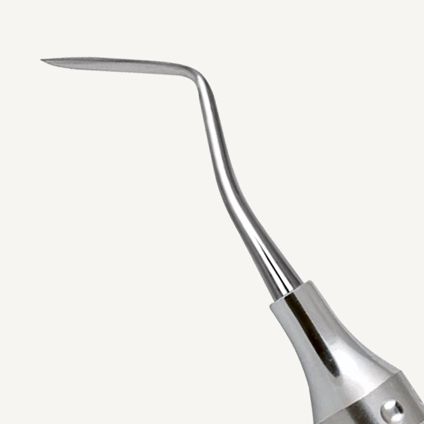 Hollenback Carver 3