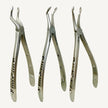 Extraction Forceps Set for Upper & Lower Roots