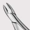 1 Upper Anterior Forceps