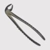 13 Lower Premolars Forceps