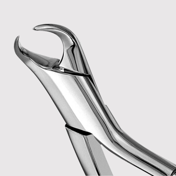16 Cowhorn Forceps, Thumb Hook