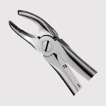 17 Right Upper Molars Forceps