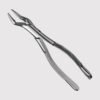 32 Parmly Upper Universal Forceps