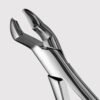 53L Upper Molar Forceps