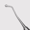 Acorn Burnisher 21