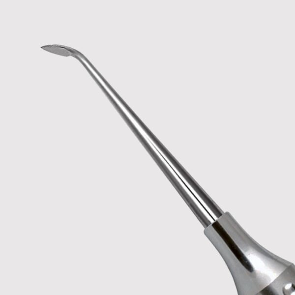 Cleoid Discoid Carver 2