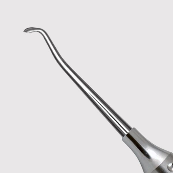 Cleoid Discoid Carver 3