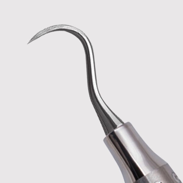 Hygienist Towner H5/U15