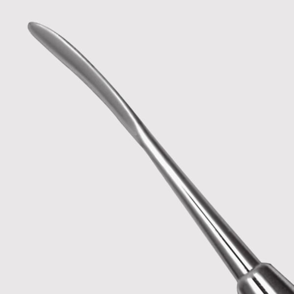 Ladmore/Beavertail Burnisher 2