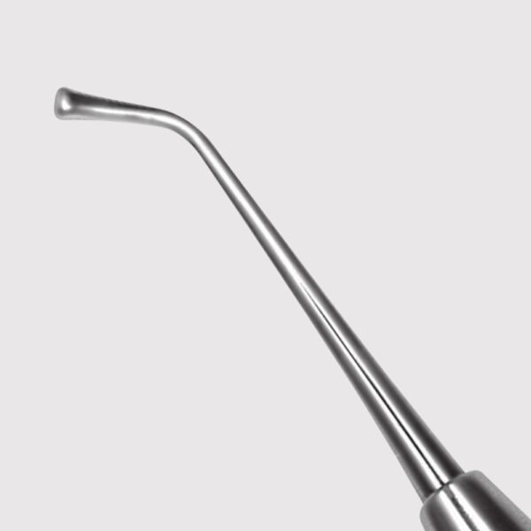 Ladmore Burnisher 2