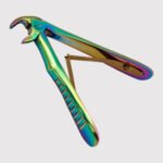 Lower Incisors And Canines