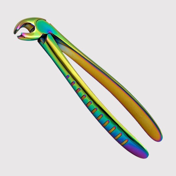 Lower Molars
