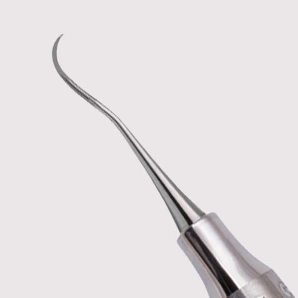 Nevi 1 Anterior