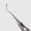 Nevi 1 Anterior