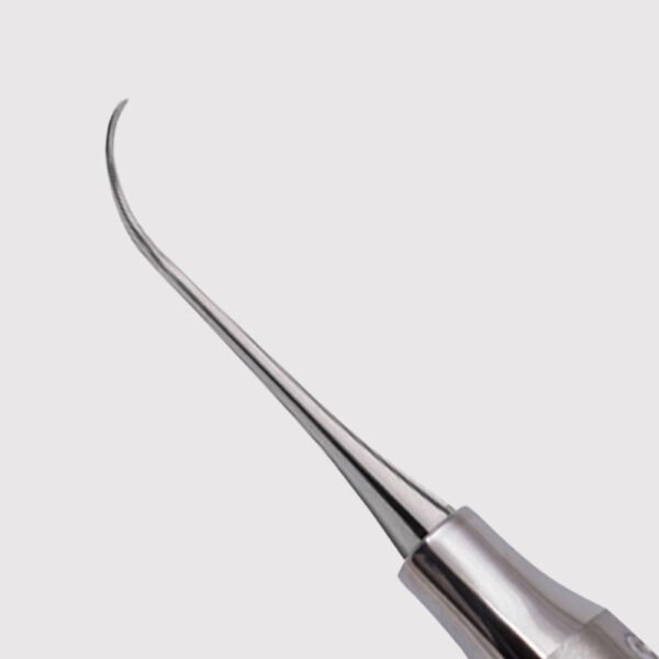 Nevi 3 Posterior