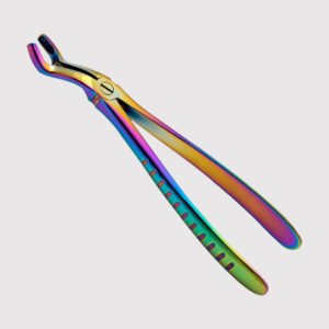 Upper 3rd Molars