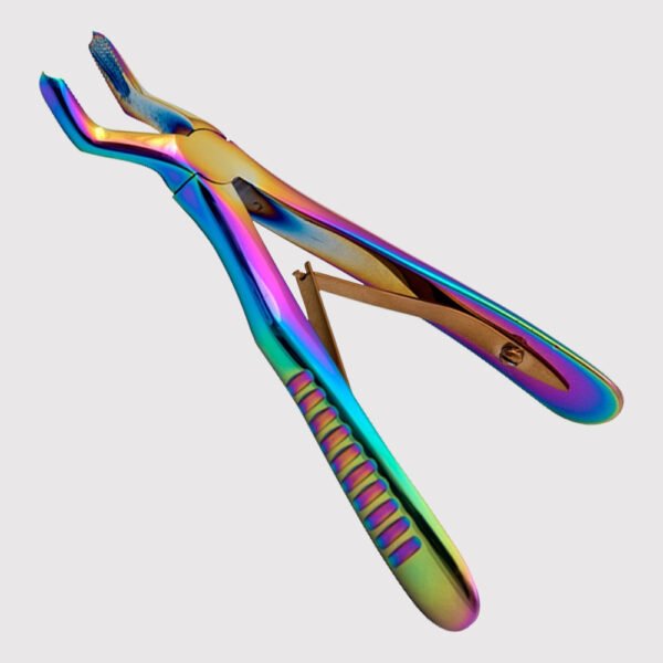 Upper Molars