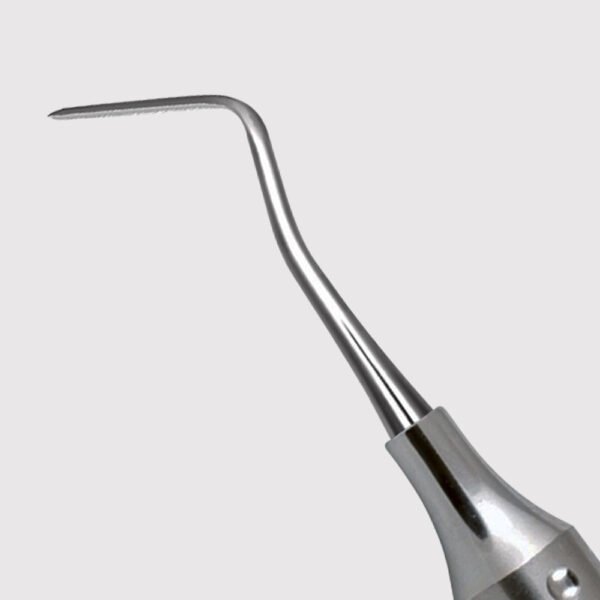 Ward Carver 1
