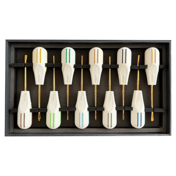 Luxating Elevator Set