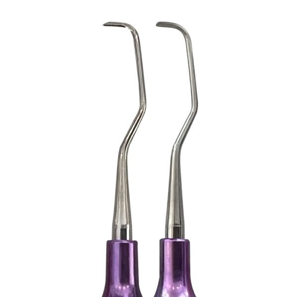 Gracey Curette Set