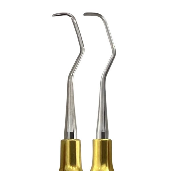 Gracey Curette Set